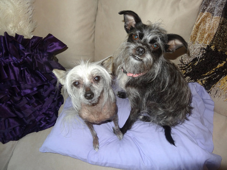Graceland and Tia Maria