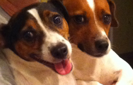 Jack and Cam