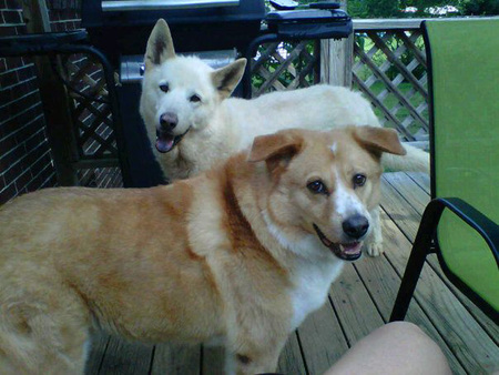 Wooly and Zoe