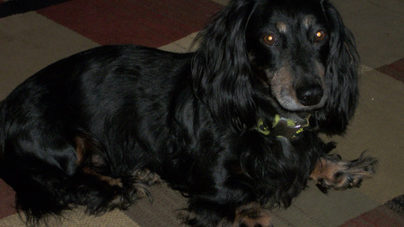 Buster