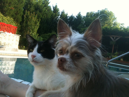 Flash and McKensie