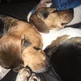 Entry image for Charlie & Miley