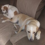 Entry image for Kassie and Kayla