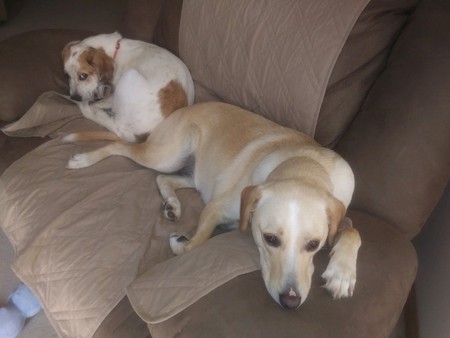 Entry image for Kassie and Kayla. Clicking this image will show a larger photo