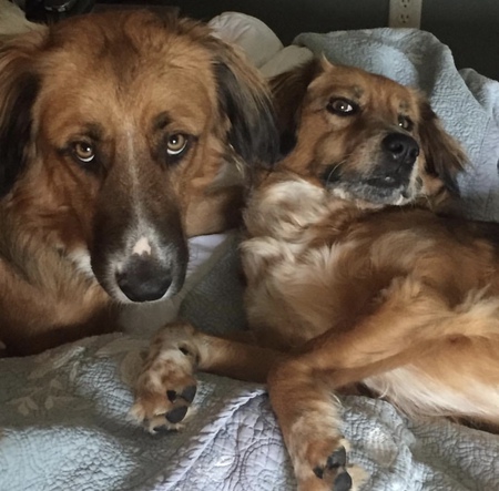 Entry image for Oliver and Ruby . Clicking this image will show a larger photo