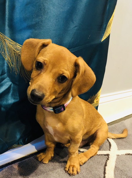 Entry image for Dave. Clicking this image will show a larger photo