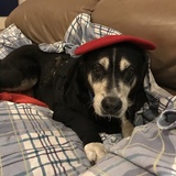 Entry image for Atlas 