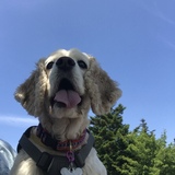 Entry image for Chloe