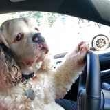 Entry image for Declan