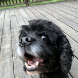 Entry image for Ella