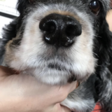 Entry image for Murray