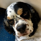 Entry image for George