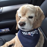 Entry image for Harry