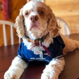 Entry image for Brady