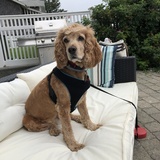 Entry image for Ruby Rae