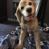 Entry image for Beni