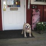 Entry image for Brady