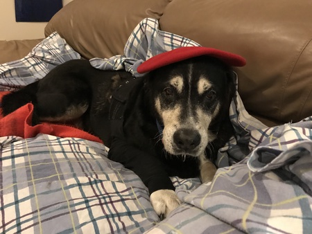 Entry image for Atlas . Clicking this image will show a larger photo