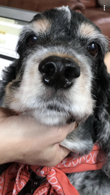 Entry image for Murray. Clicking this image will show a larger photo