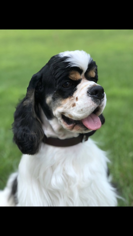 Entry image for Blake. Clicking this image will show a larger photo