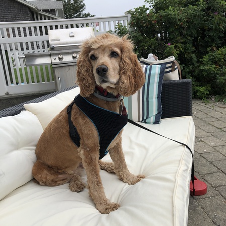 Entry image for Ruby Rae. Clicking this image will show a larger photo