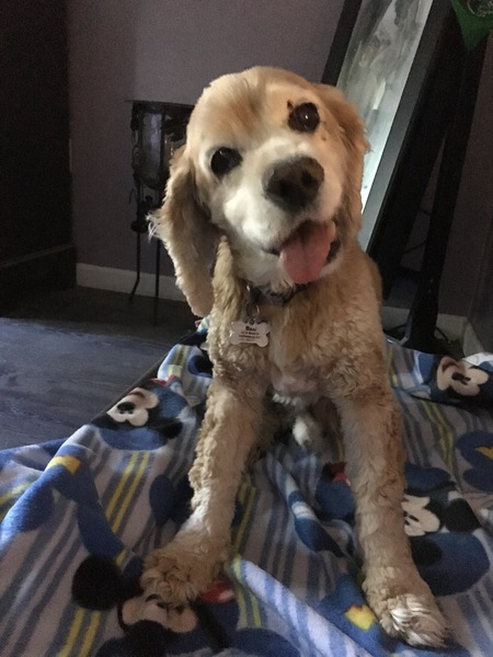 Entry image for Beni. Clicking this image will show a larger photo