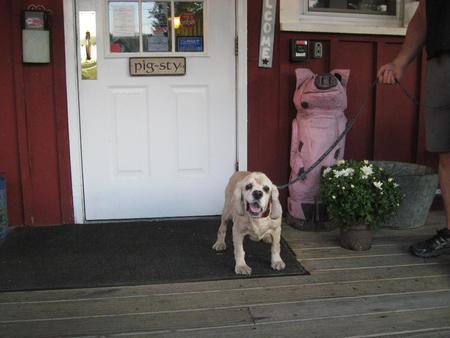 Entry image for Brady. Clicking this image will show a larger photo