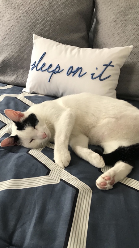 Tom