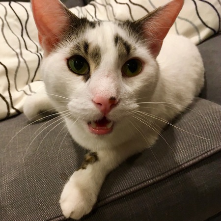 Oliver