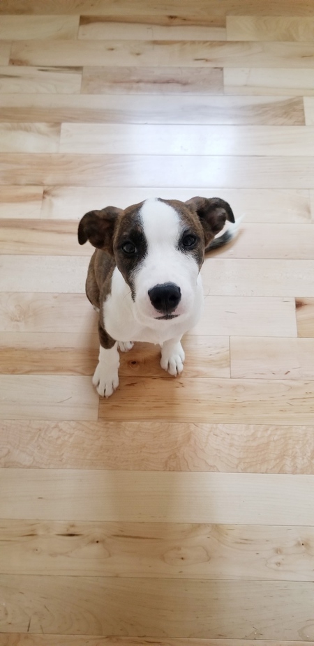 Lucy