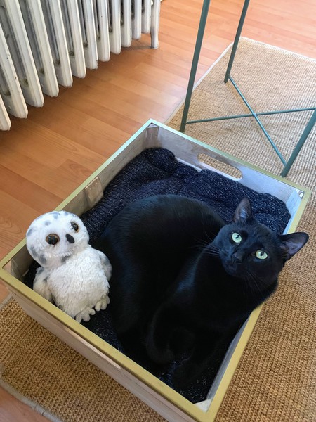 Luna
