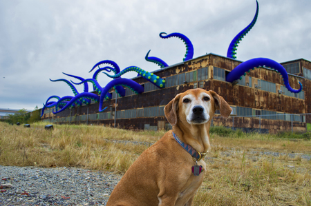 Maggie
