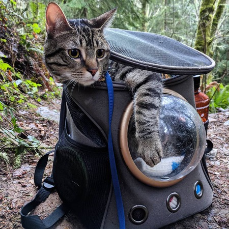 Copurrnicus