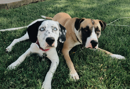Storm and Duncan