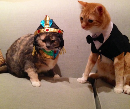 Harmony and Lannister