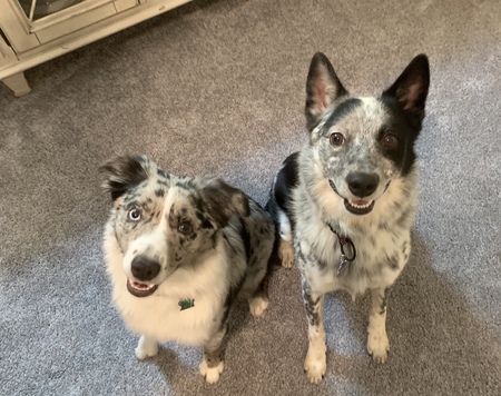 Ellie and Archie
