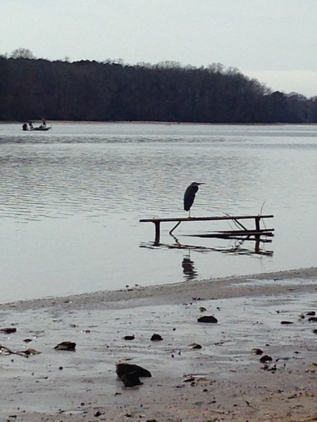 the three fishermen