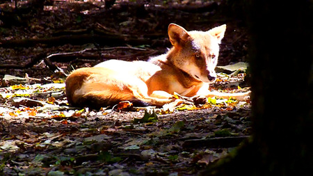 Relaxing in the sun.