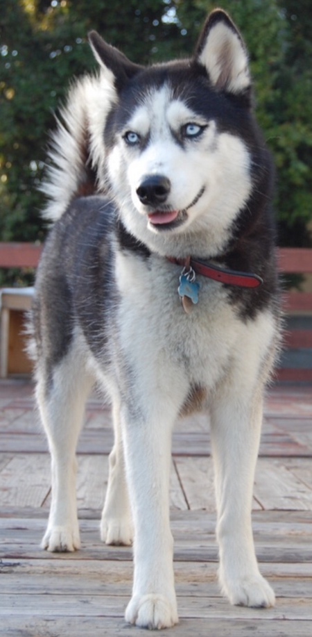 Juneau