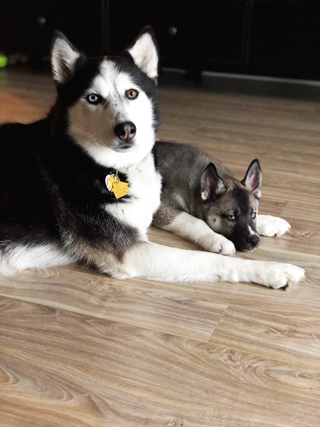Remy and Sig