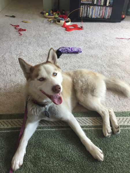 Balto
