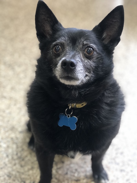 Jet
