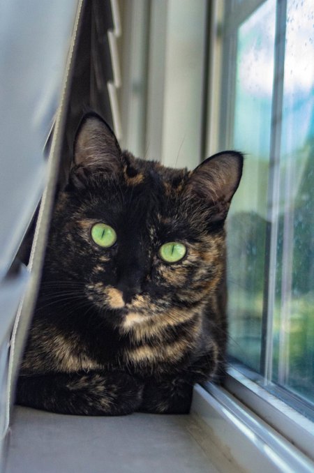 PEPPER