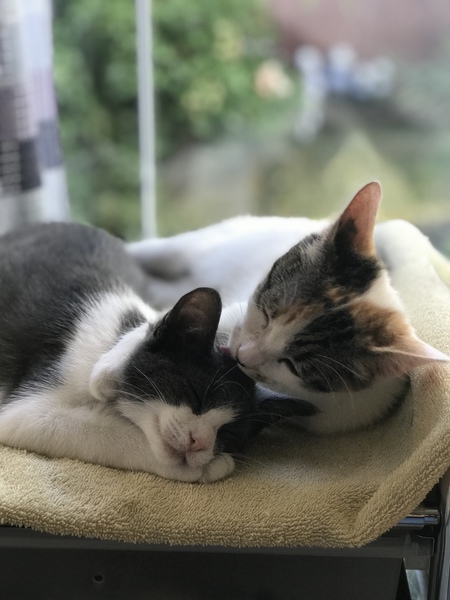 Madi and Juneau