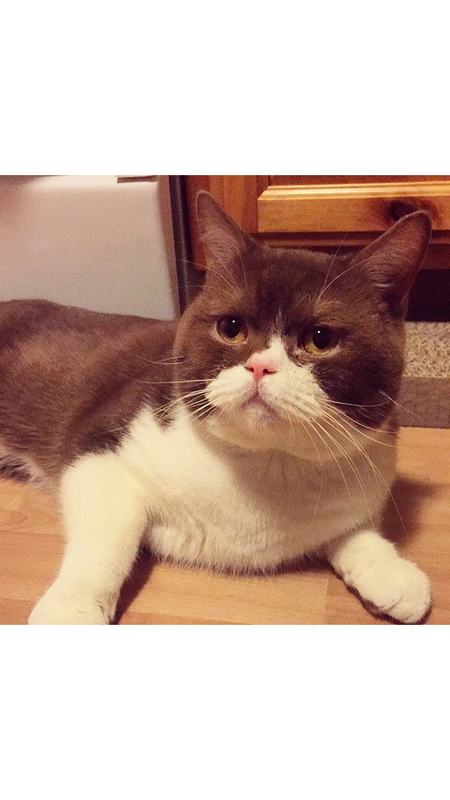 Gibraltar (Gibby)