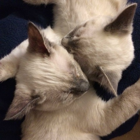 Missy & Bob