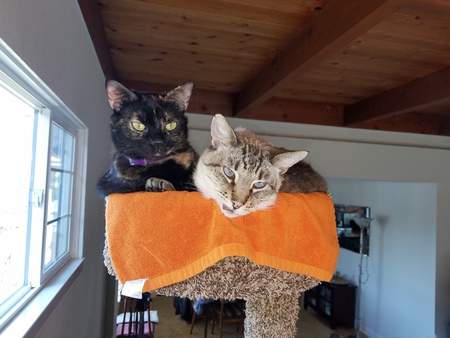 Mela and Lenny