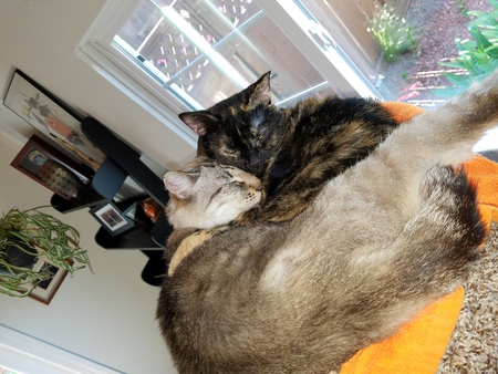Lenny and Mela