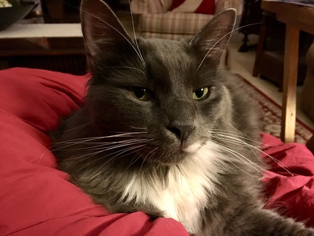 Smokey
