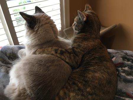 Snowdrop and Cady